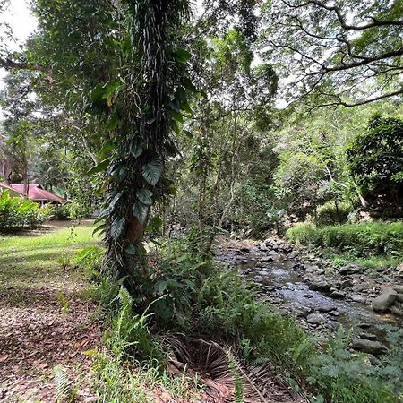 Evasion Bungalow Tropical Spa Sarramea ภายนอก รูปภาพ