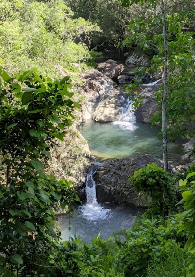 Evasion Bungalow Tropical Spa Sarramea ภายนอก รูปภาพ