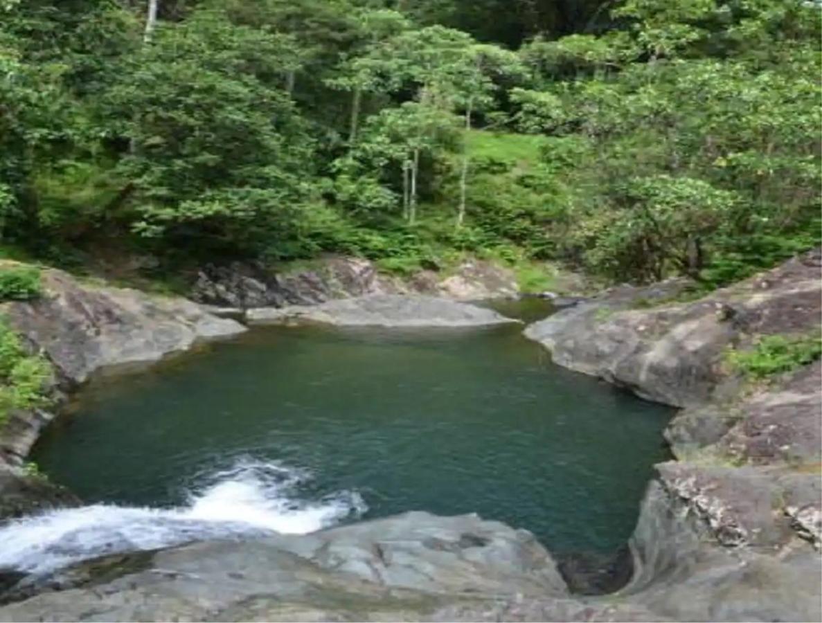 Evasion Bungalow Tropical Spa Sarramea ภายนอก รูปภาพ