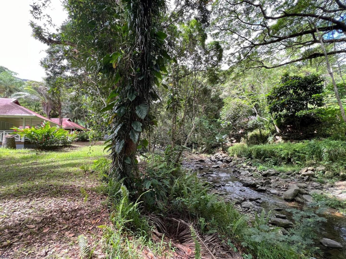 Evasion Bungalow Tropical Spa Sarramea ภายนอก รูปภาพ