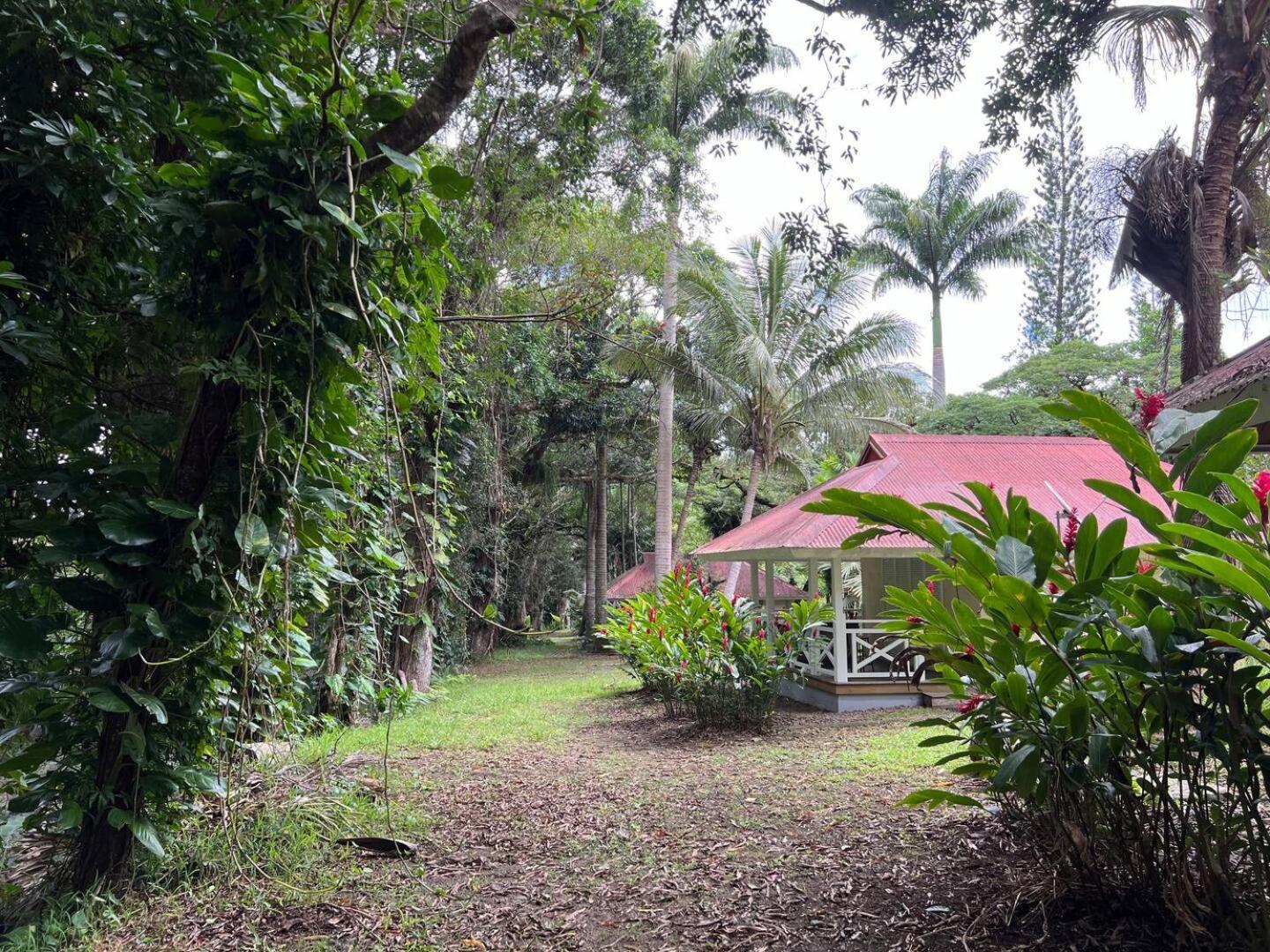 Evasion Bungalow Tropical Spa Sarramea ภายนอก รูปภาพ